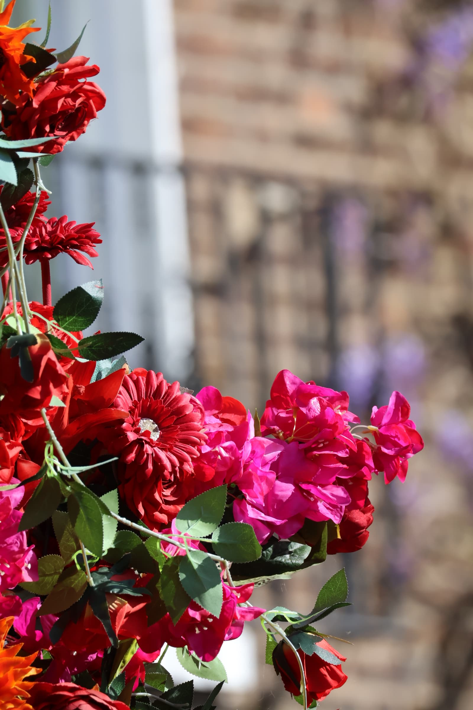 Flower 202