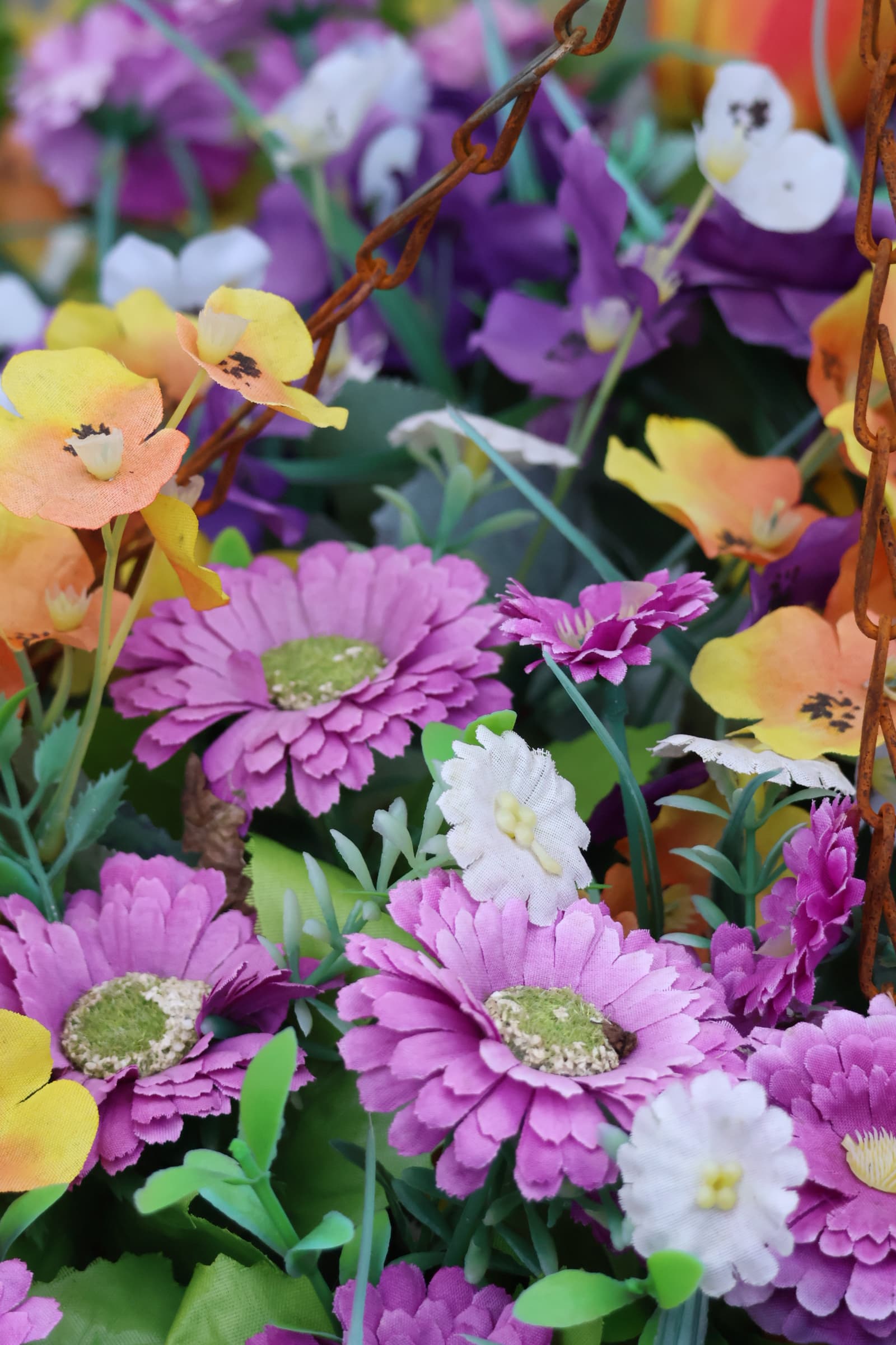 Flower 261