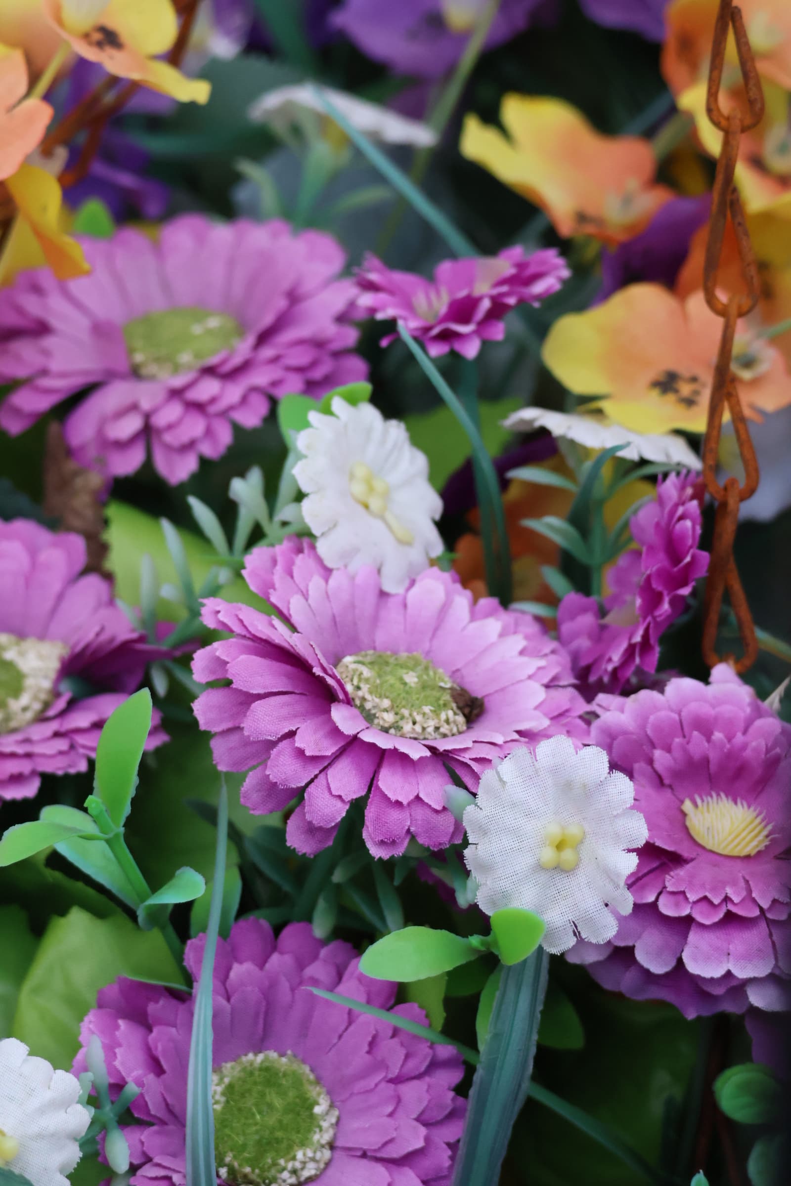 Flower 297