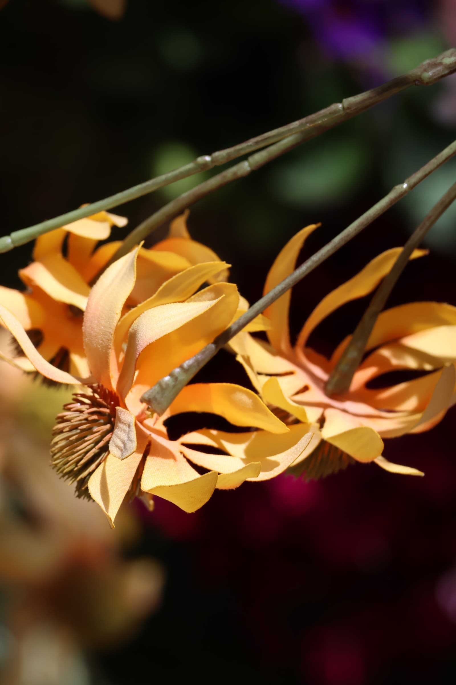 Flower 326