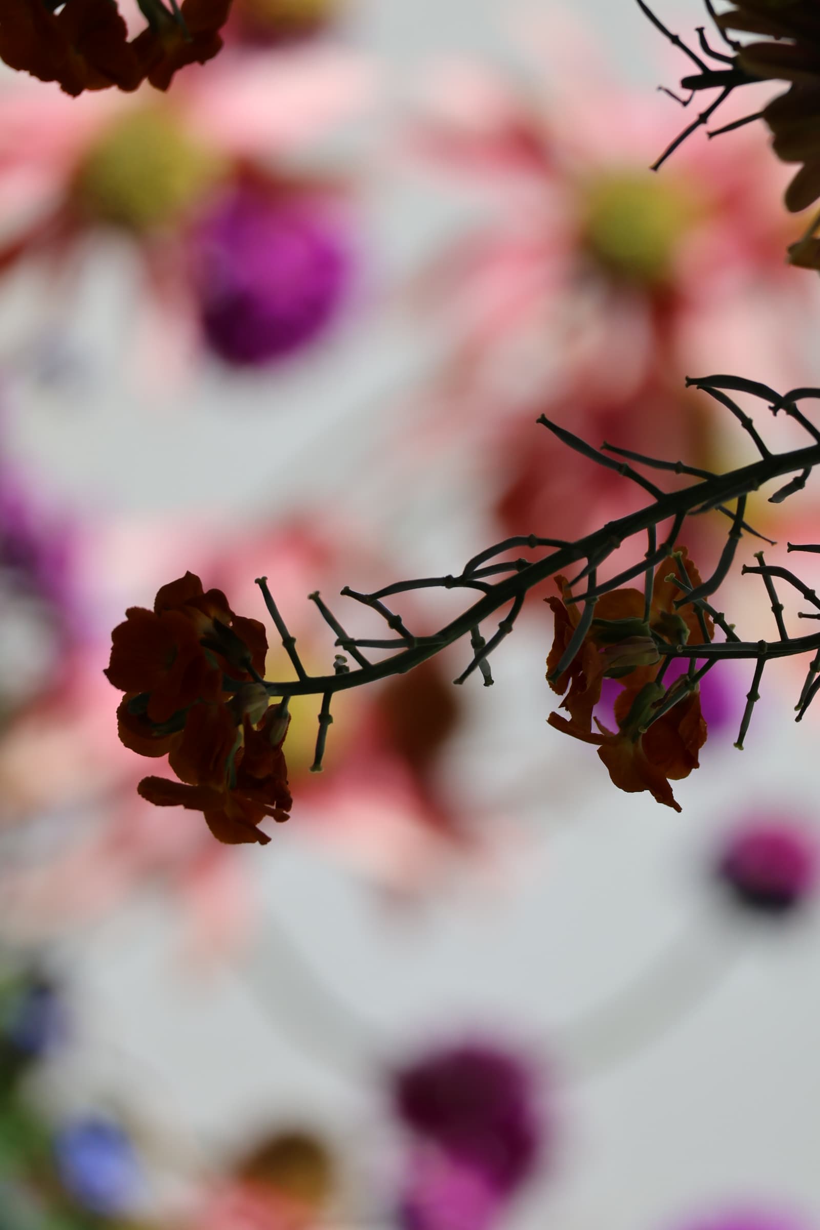 Flower 144