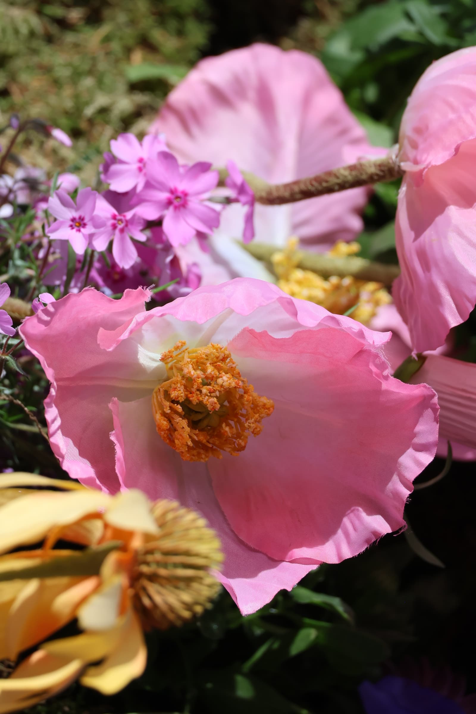 Flower 321