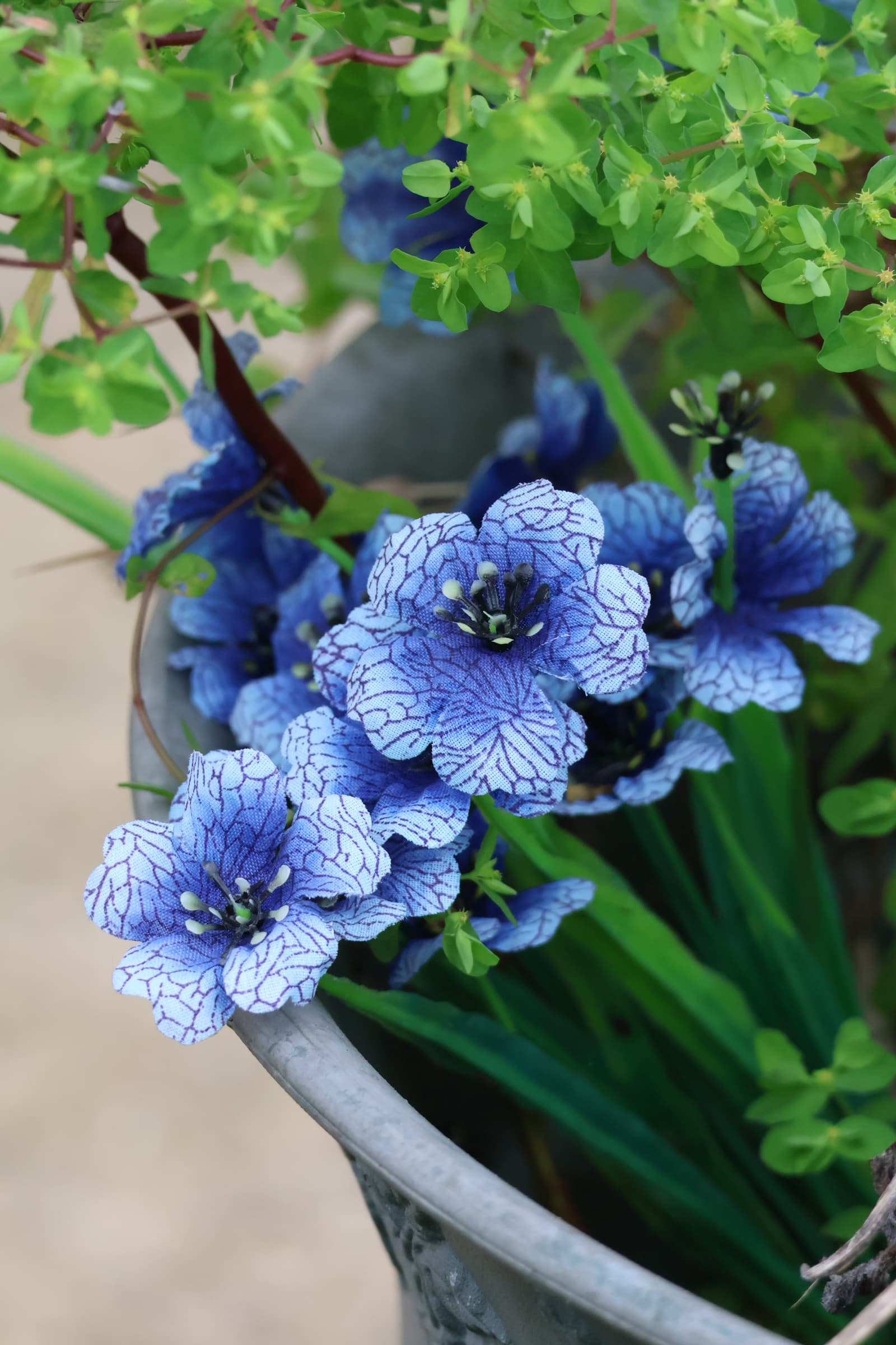 Flower 61