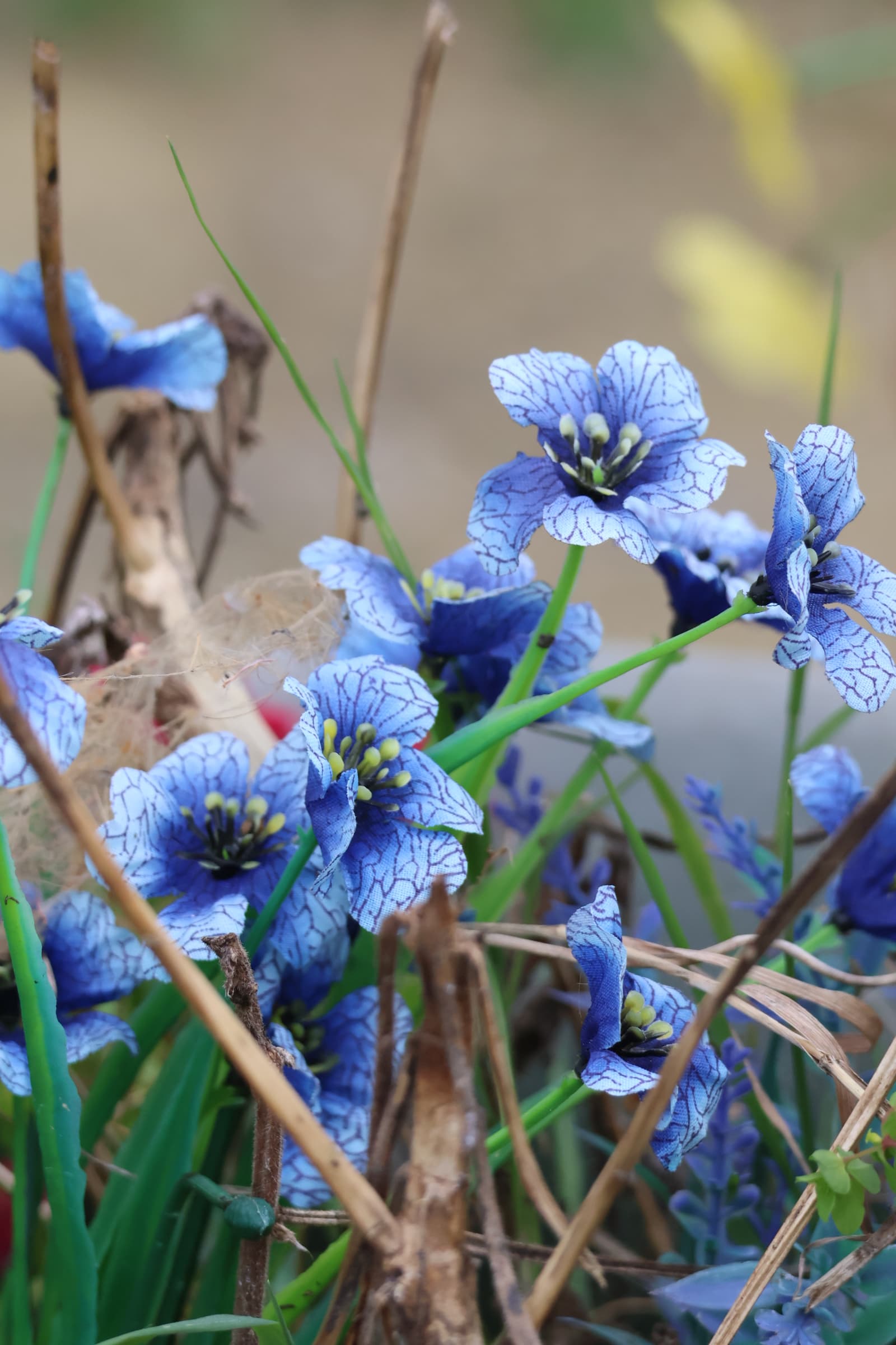 Flower 310