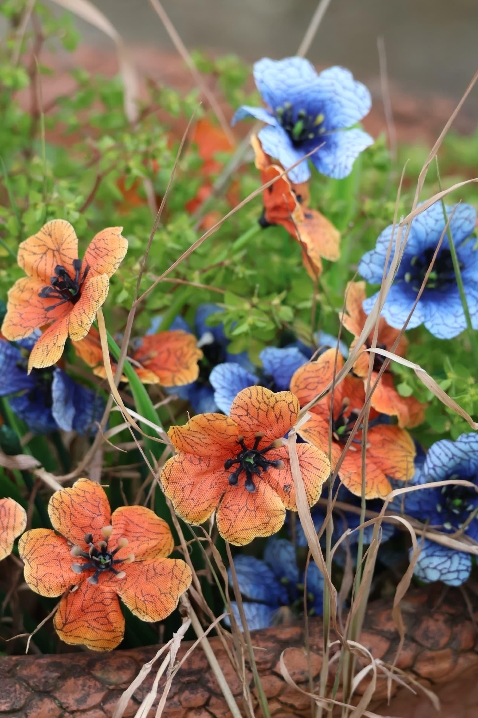 Flower 108