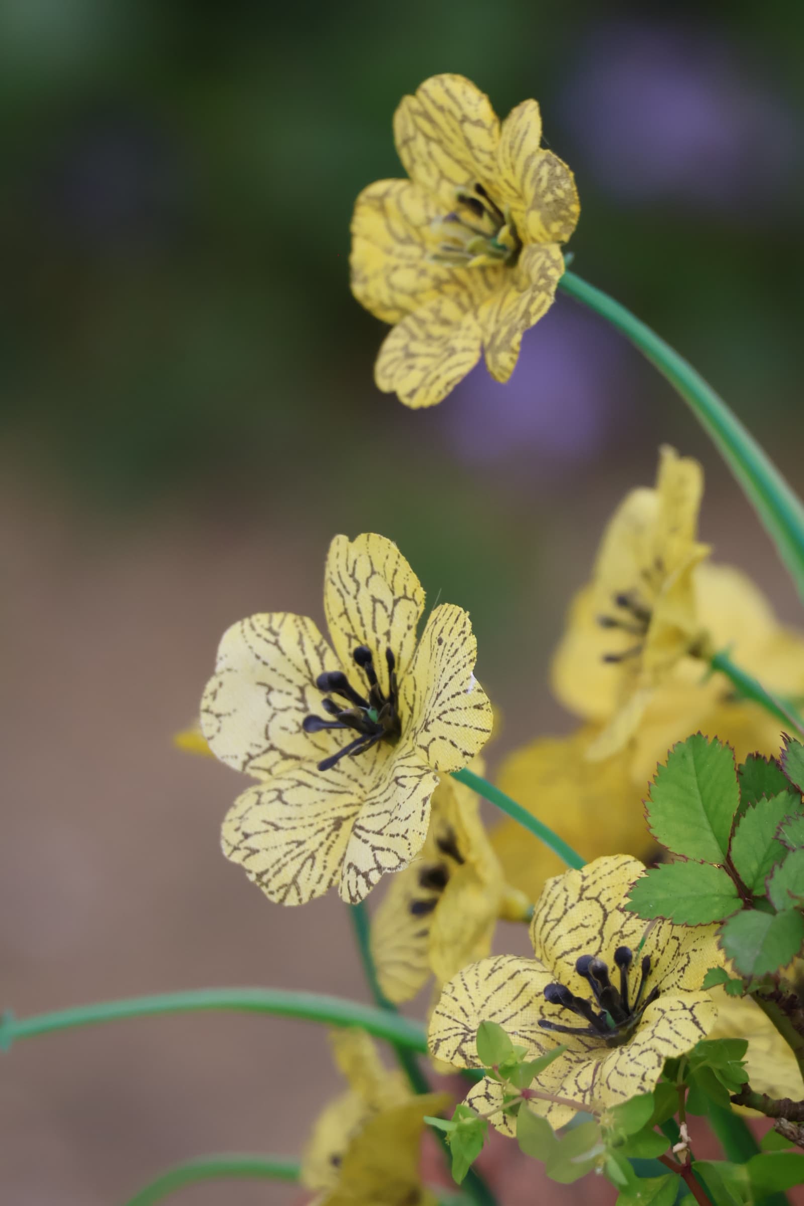 Flower 292
