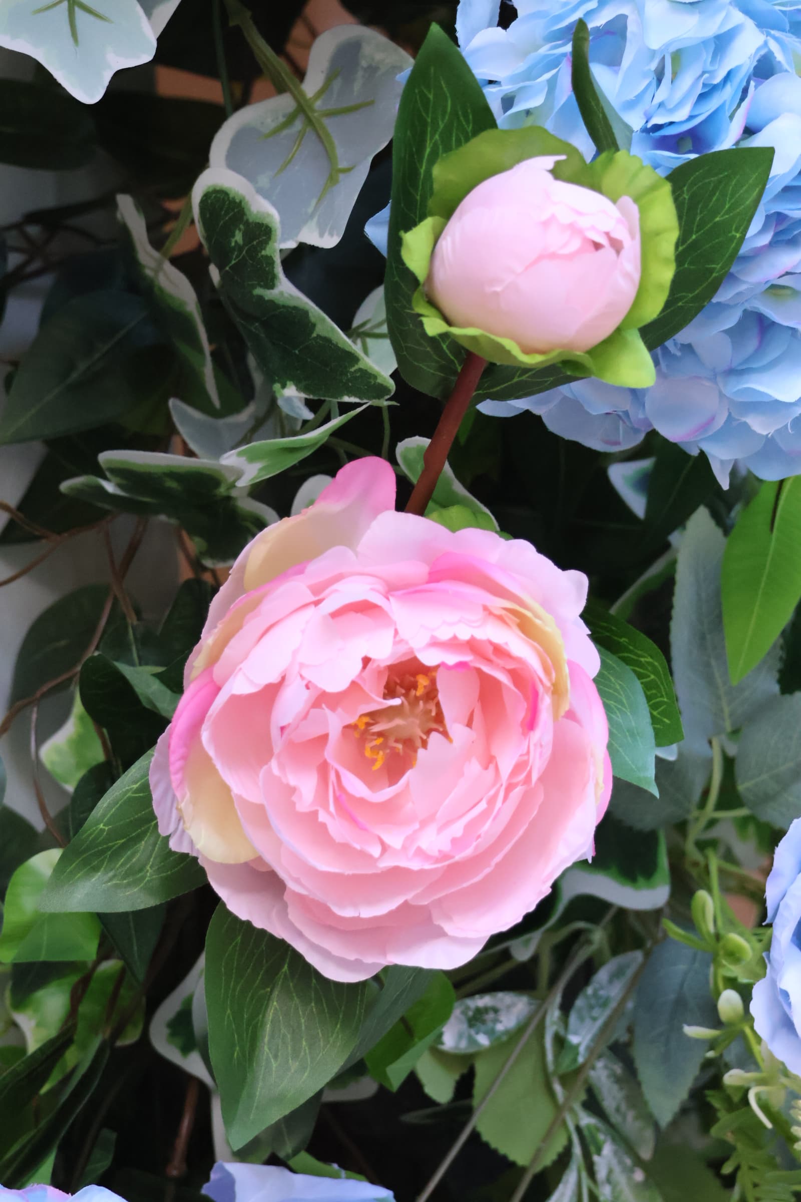 Flower 83