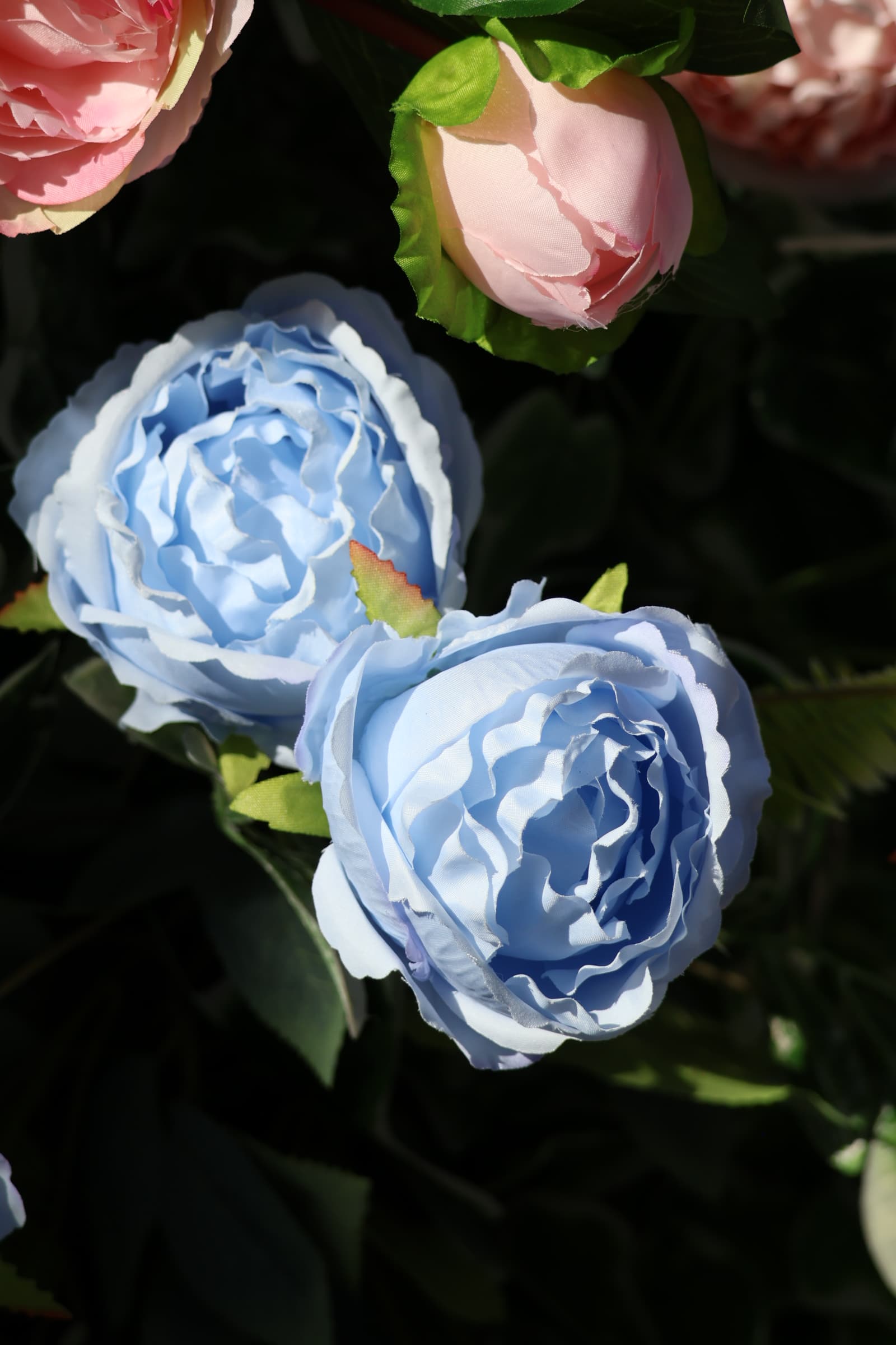 Flower 38