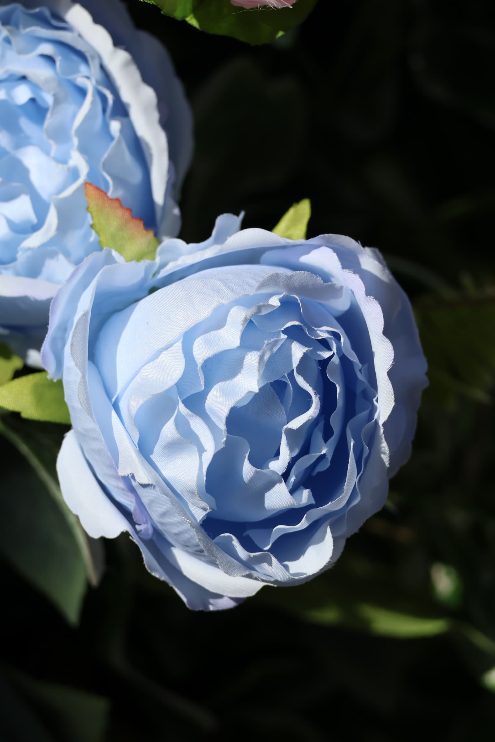 Flower 134