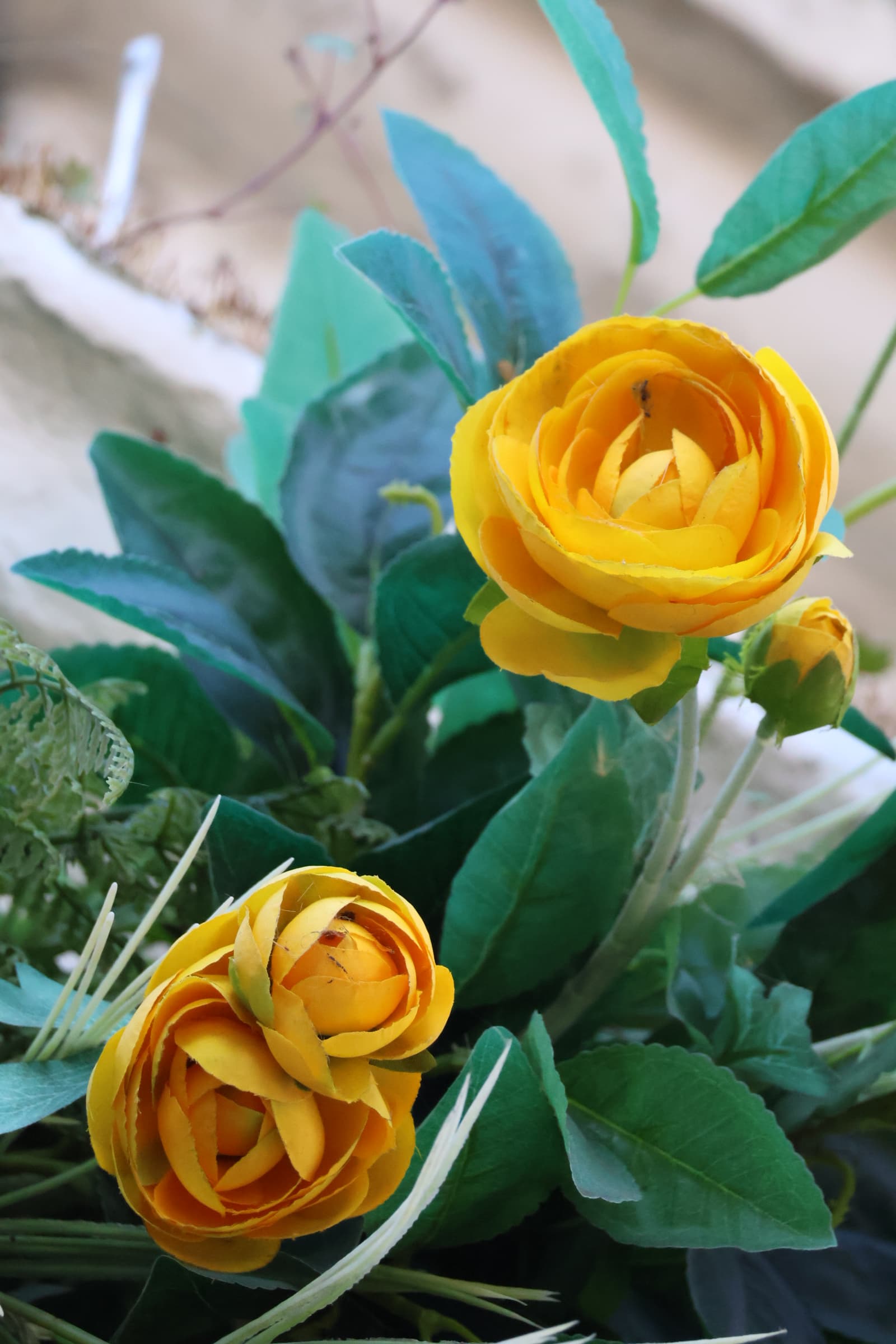 Flower 169