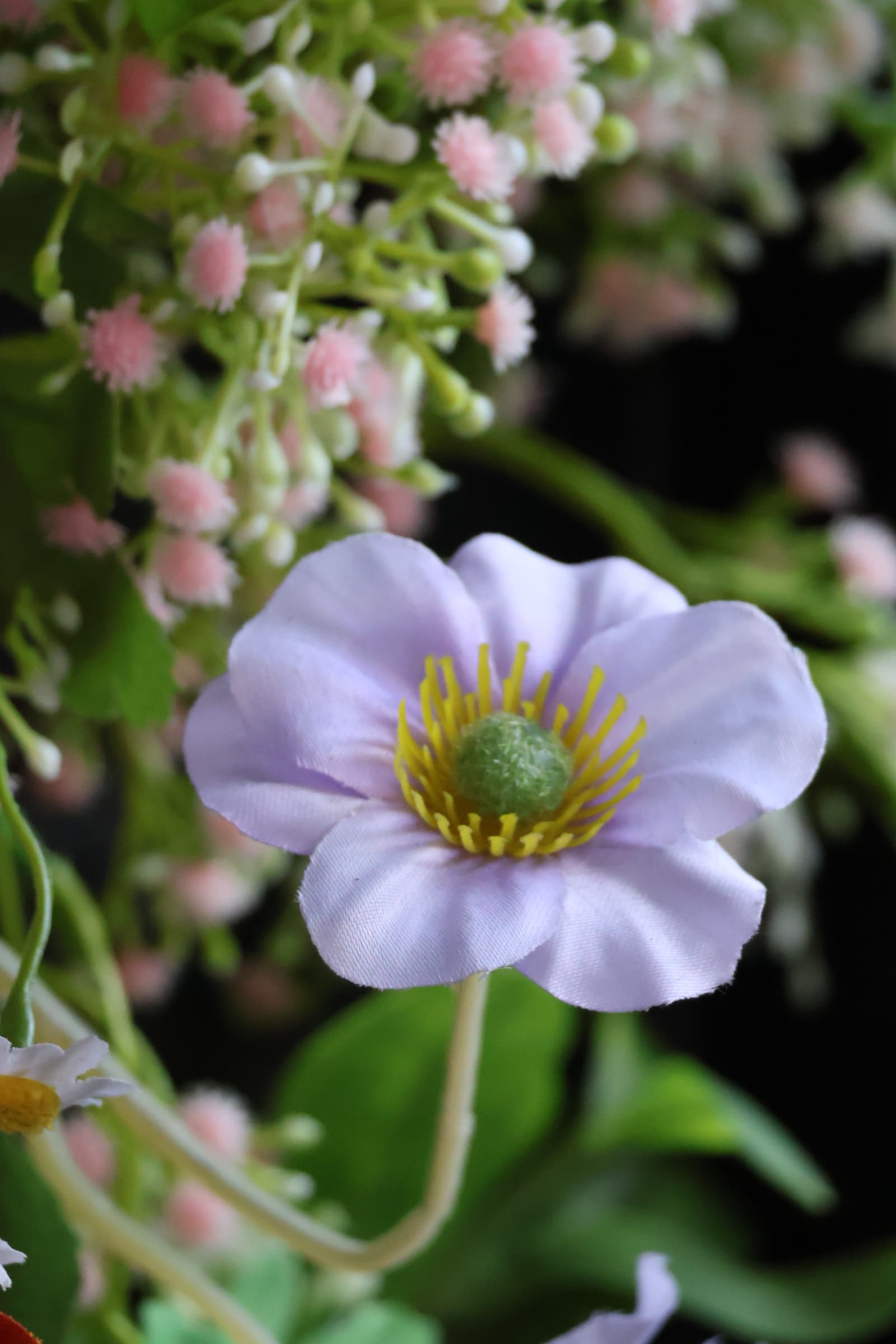 Flower 539