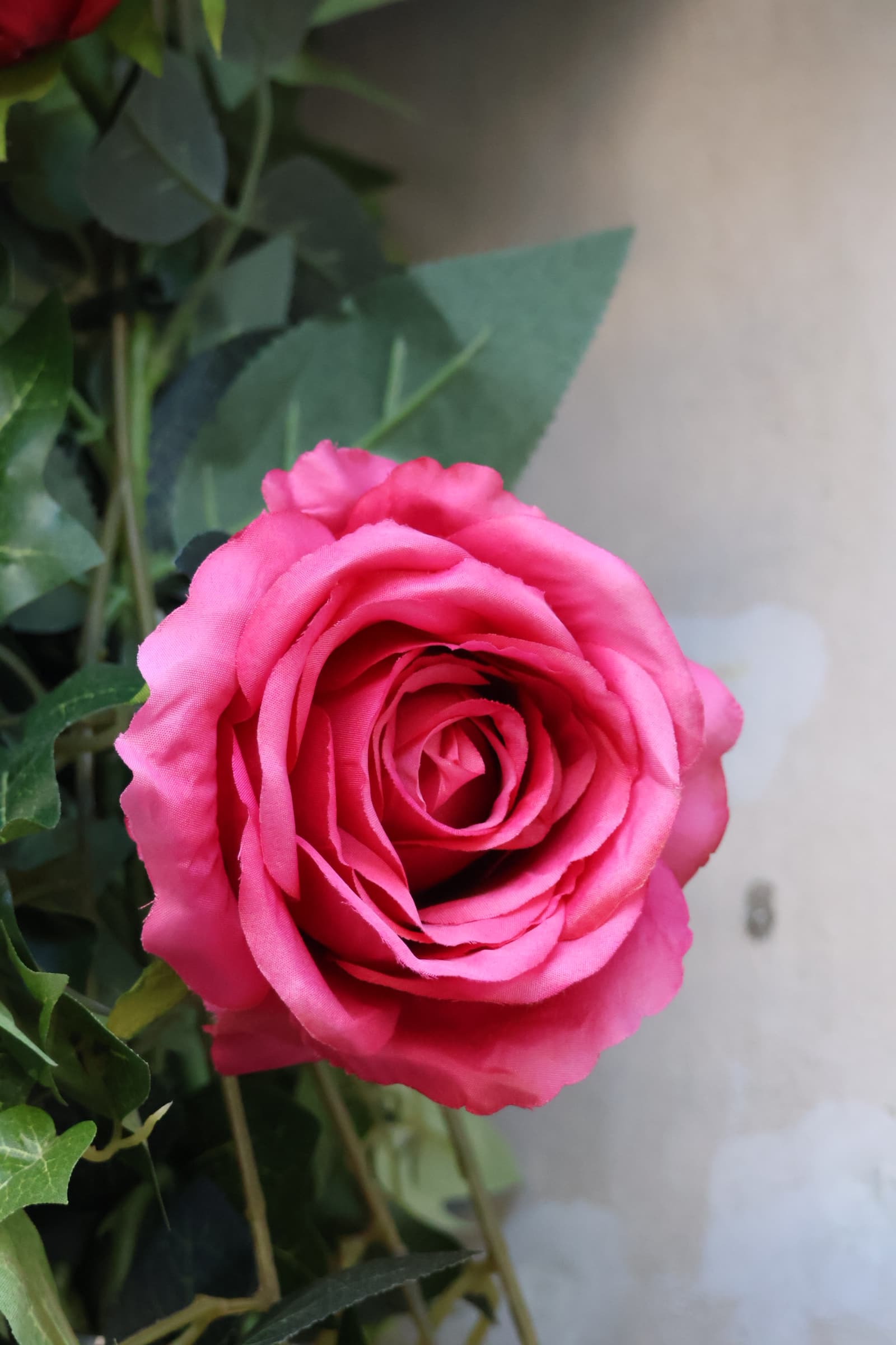 Flower 491