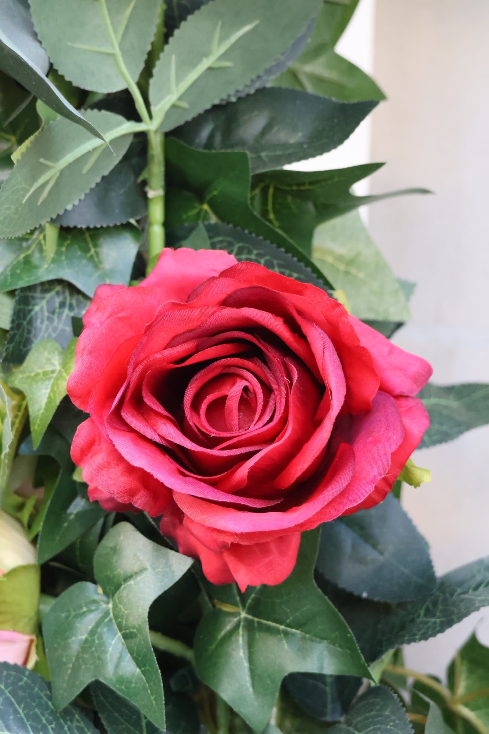 Flower 389