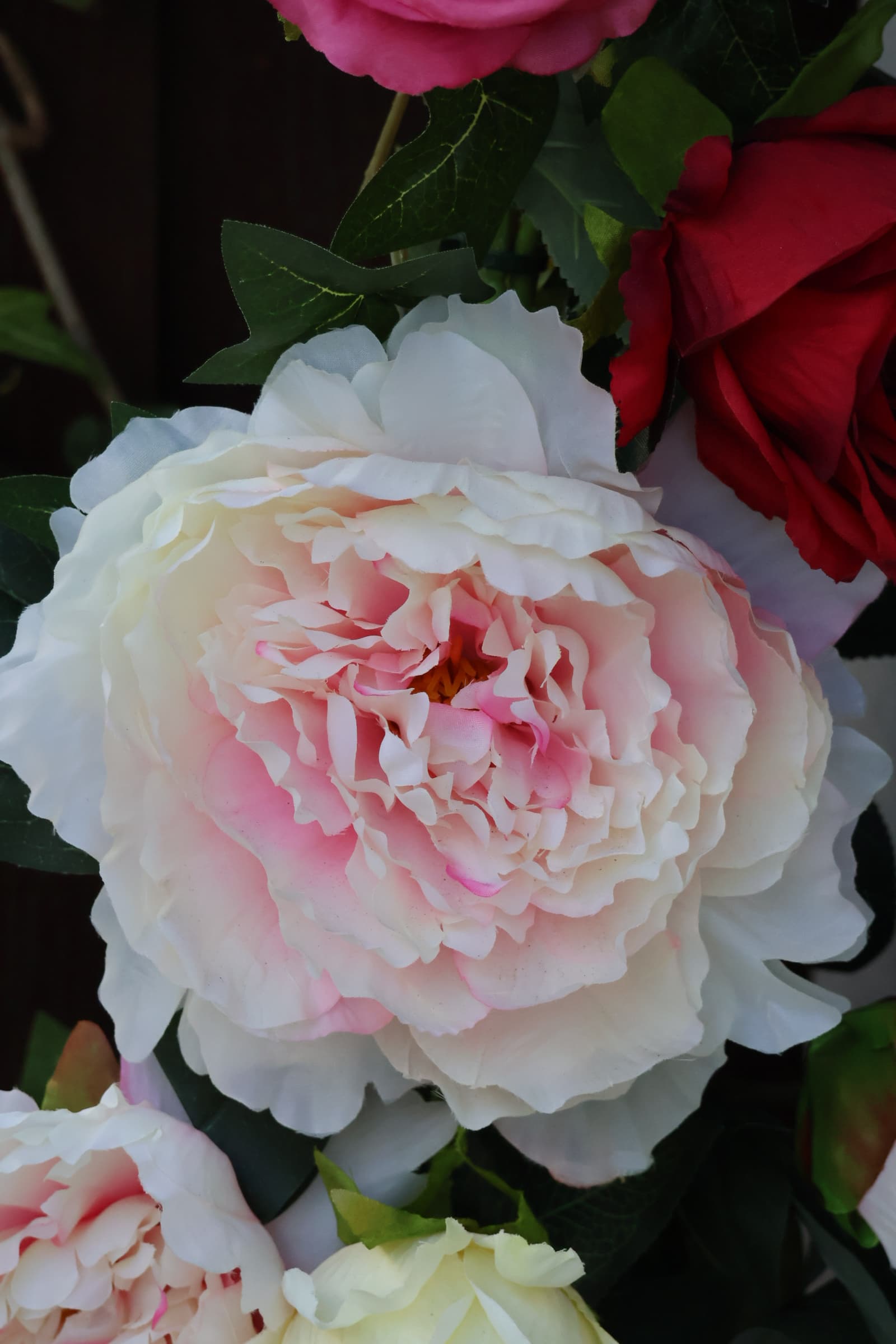 Flower 509