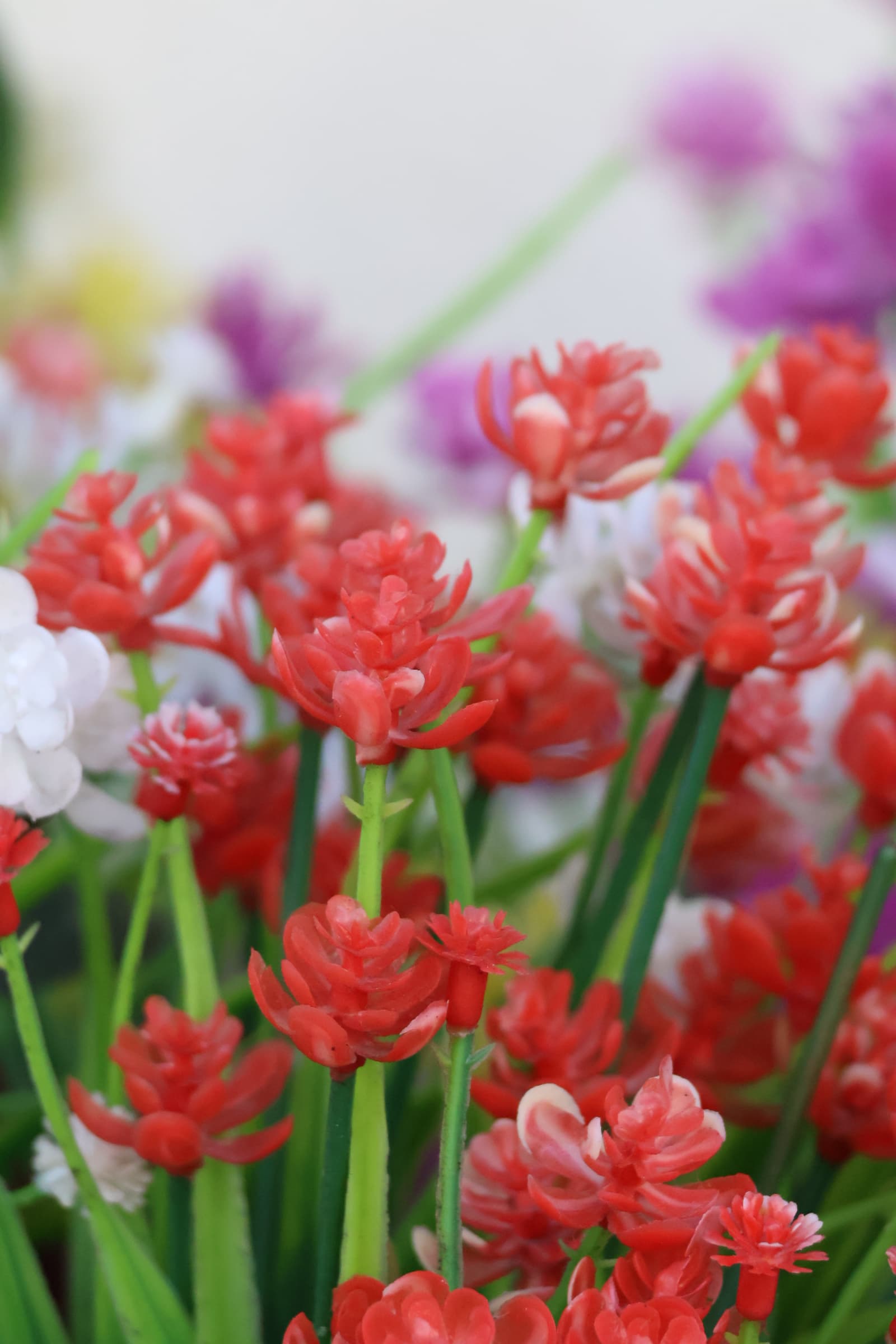 Flower 57