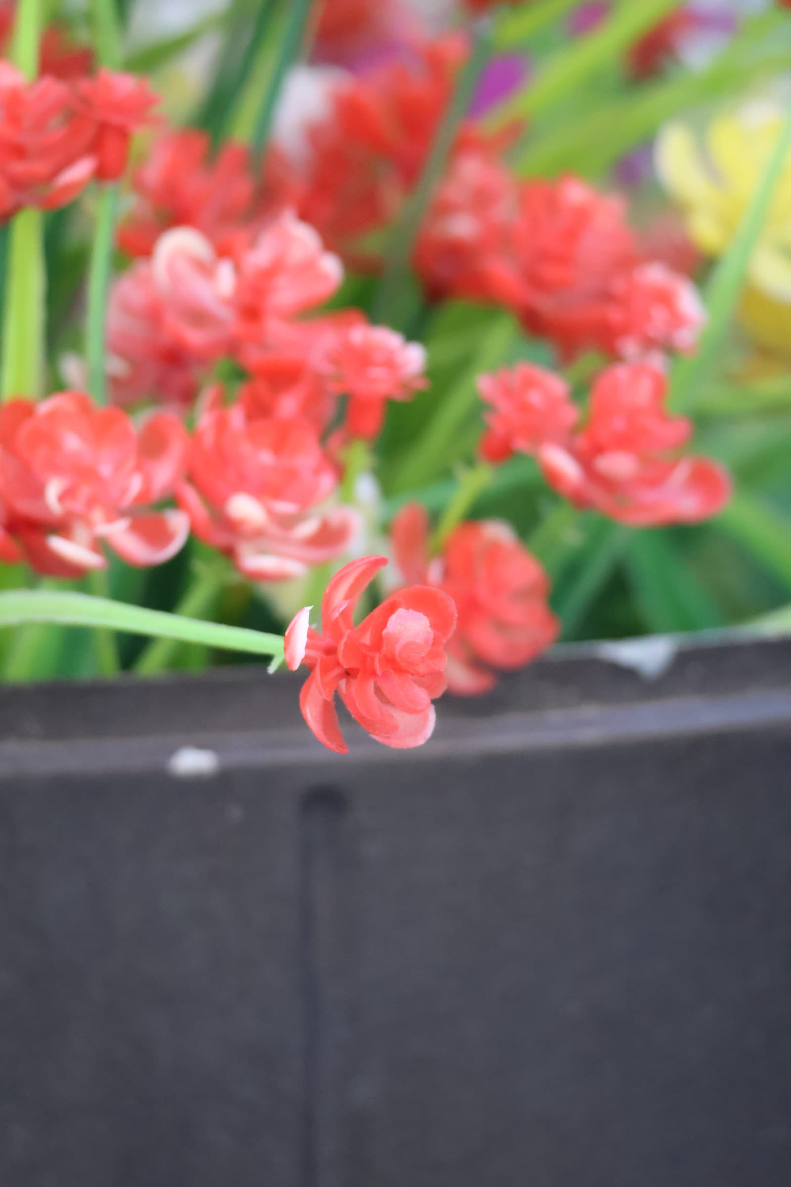 Flower 18