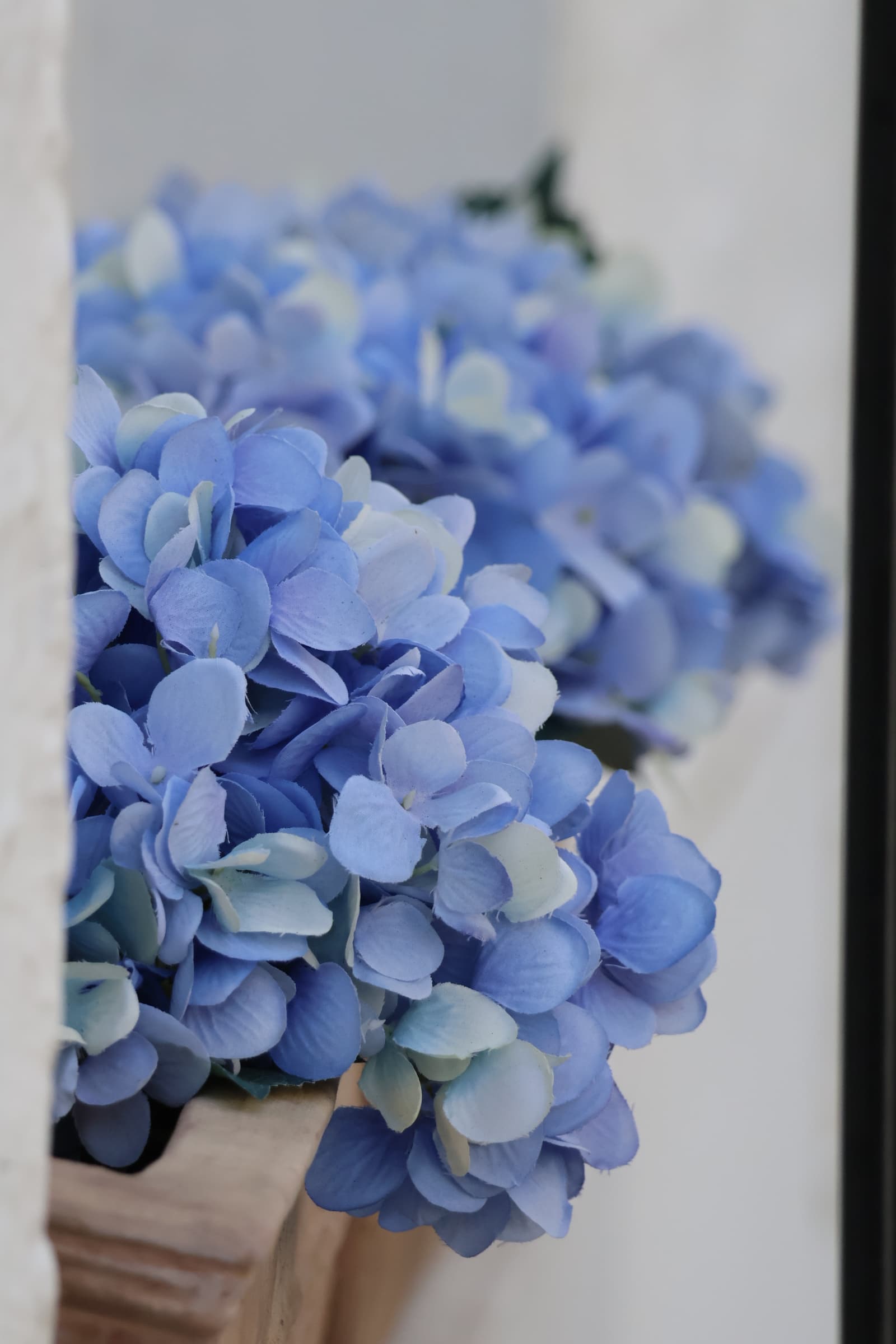 Flower 36