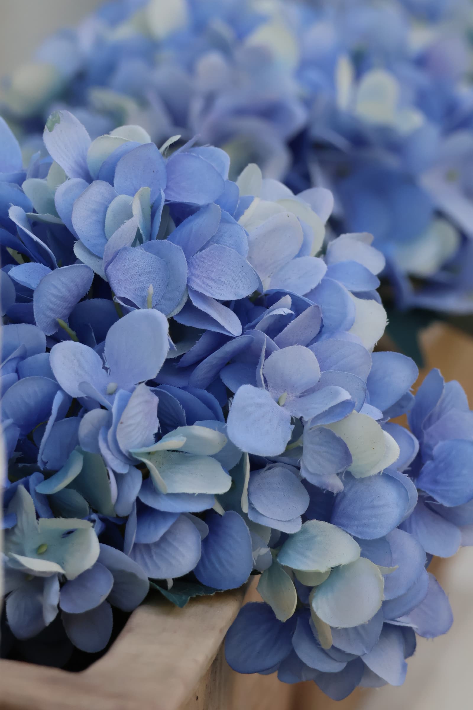 Flower 66