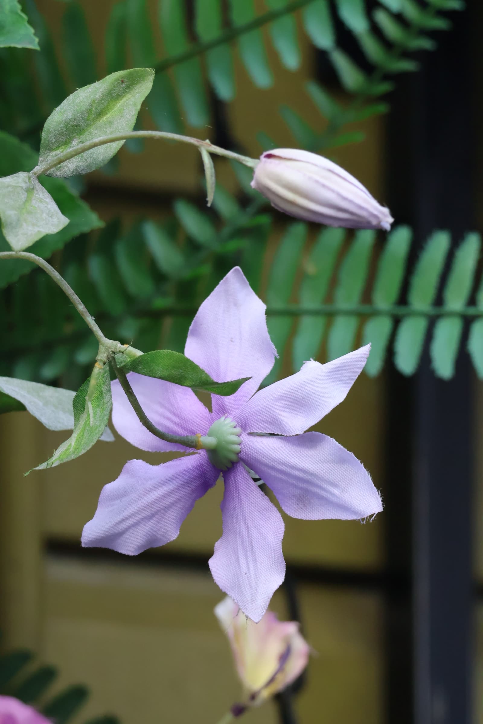 Flower 201