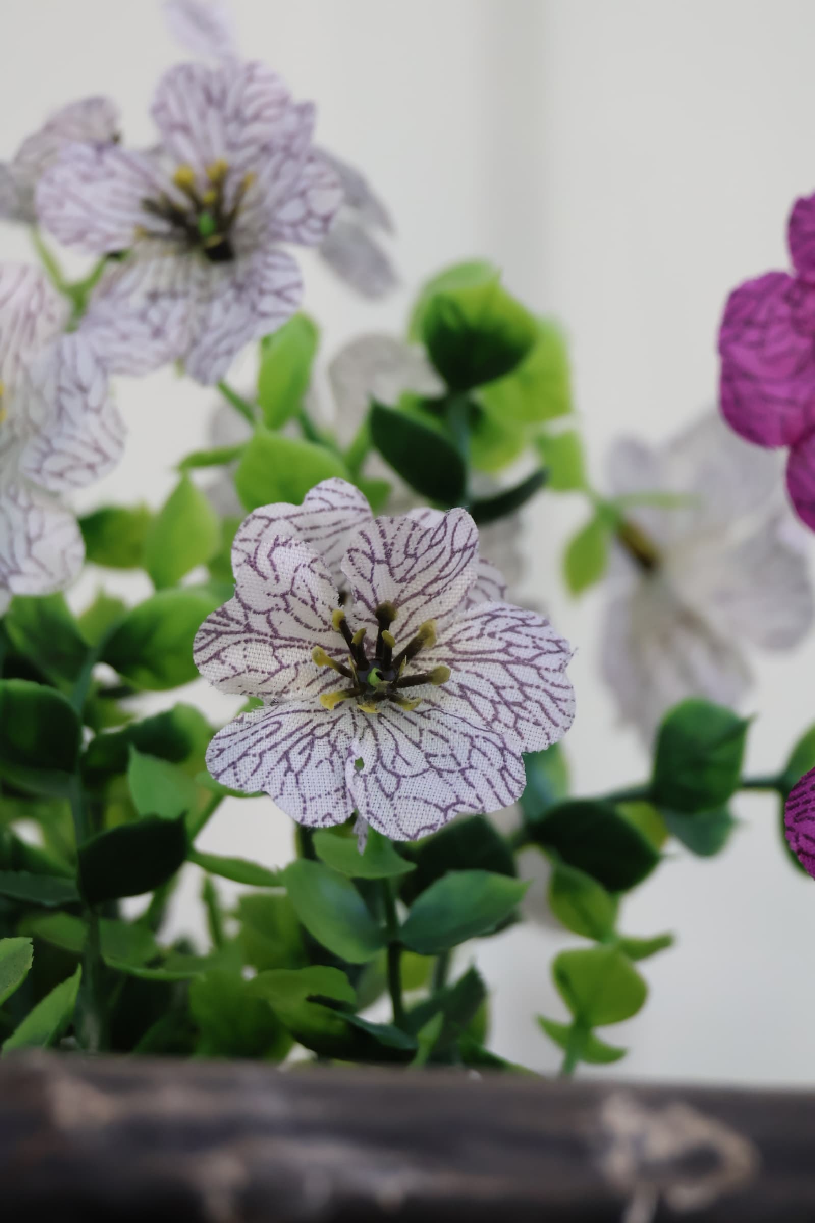 Flower 498