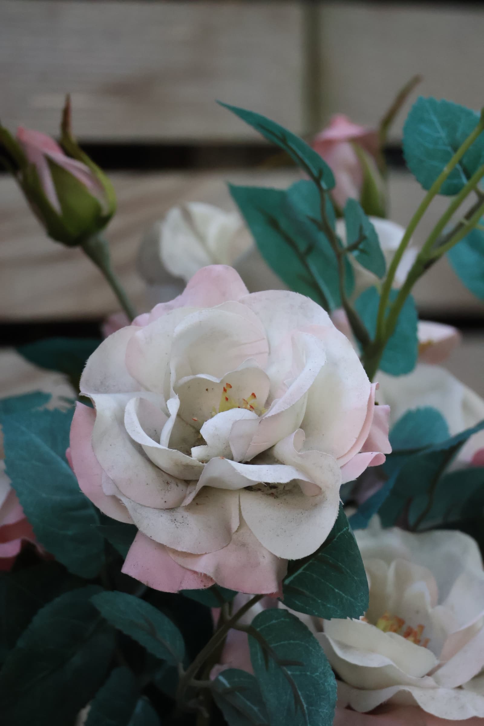 Flower 295
