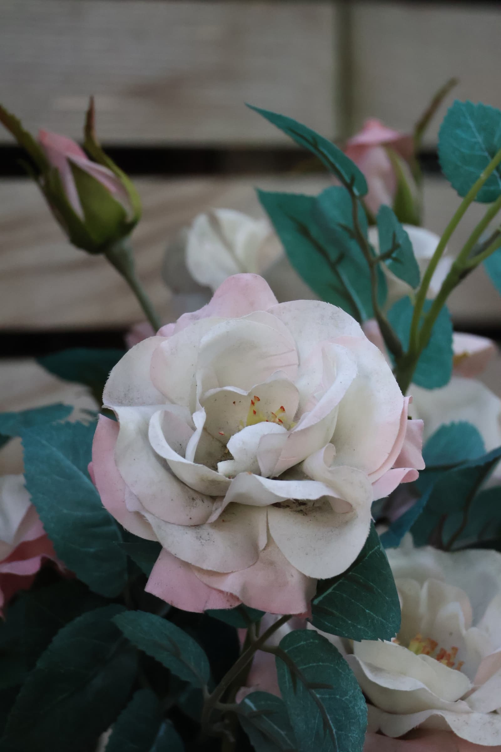 Flower 534